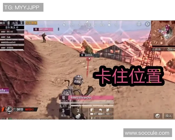 和平精英战术分析：WE战队团队协作与配合策略深度探讨